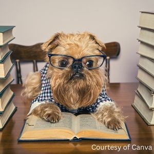 dog in glasses reading a book